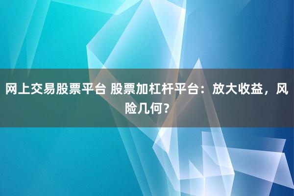 网上交易股票平台 股票加杠杆平台：放大收益，风险几何？