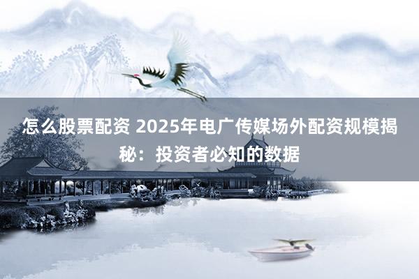 怎么股票配资 2025年电广传媒场外配资规模揭秘：投资者必知的数据