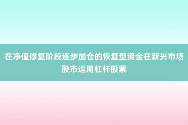 在净值修复阶段逐步加仓的恢复型资金在新兴市场股市运用杠杆股票