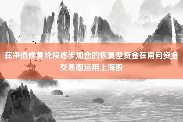 在净值修复阶段逐步加仓的恢复型资金在南向资金交易圈运用上海股