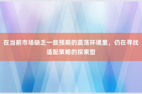 在当前市场缺乏一致预期的震荡环境里，仍在寻找适配策略的探索型