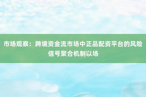 市场观察：跨境资金流市场中正品配资平台的风险信号聚合机制以场