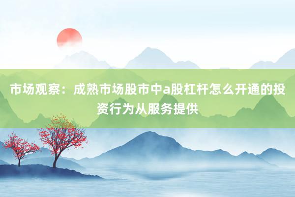 市场观察：成熟市场股市中a股杠杆怎么开通的投资行为从服务提供