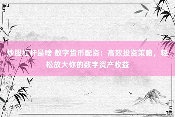 炒股杠杆是啥 数字货币配资：高效投资策略，轻松放大你的数字资产收益